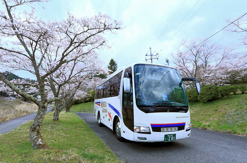 桜バス